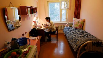 Фото - Финансист Лашко заявил о возможном росте цен на студенческое жилье в ближайшее время