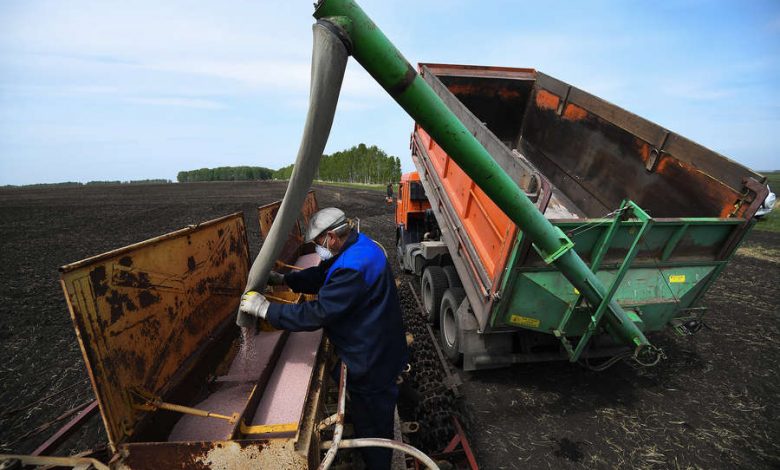 Фото - Путин поддержал инициативу о разблокировке 265 тысяч тонн удобрений